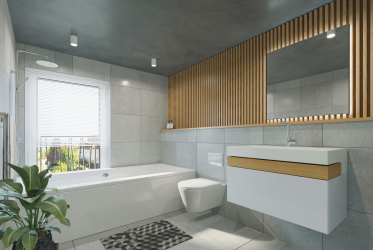Luxury bathroom renovation